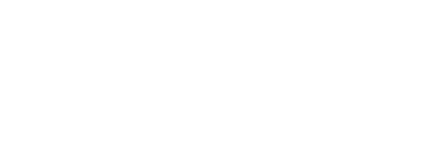 Logo-SilverShoe-blanco